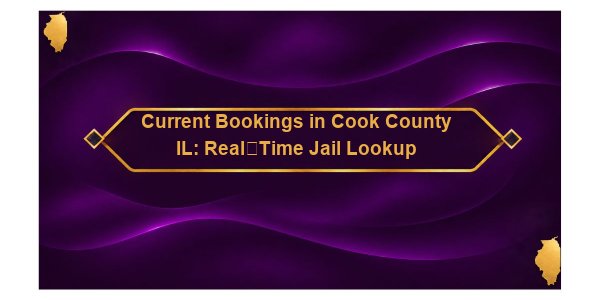 Current Bookings in Cook County IL: Real‑Time Jail Lookup